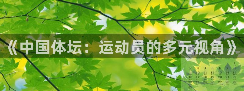 MK体育官方正版app集团官网网址:《中国体坛:运动员的多元