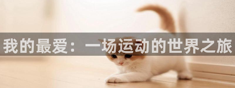 MK体育官方正版app集团E.ON:我的最爱:一场运动的世界