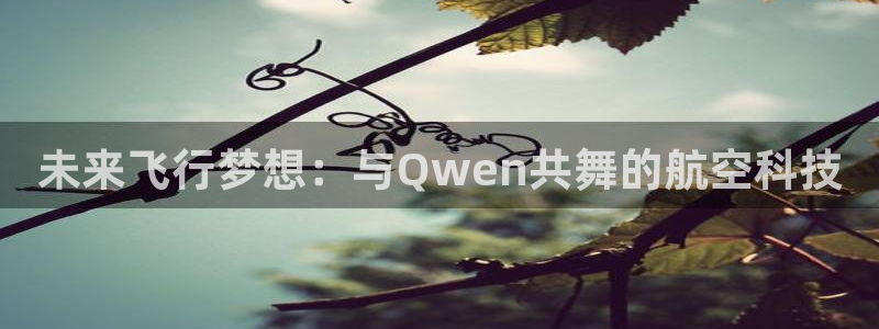 MK体育官网下载平台是正规平台吗知乎:未来飞行梦想:与Qwe